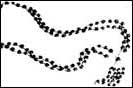 Collier des Navajos