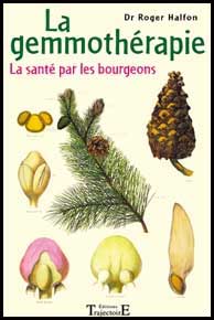 La Gemmoth&eacute;rapie ou l'embryoth&eacute;rapie v&eacute;g&eacute;tale