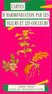 Harmonisation par les fleurs et les Couleurs
