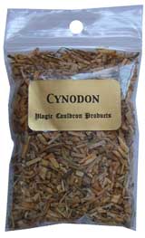 poudre magique cynodon
