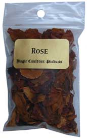 plante magique rose