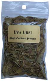 plante magique uva ursi