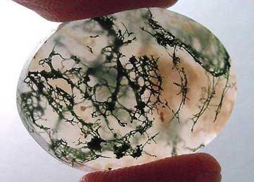 agate herborisee polie