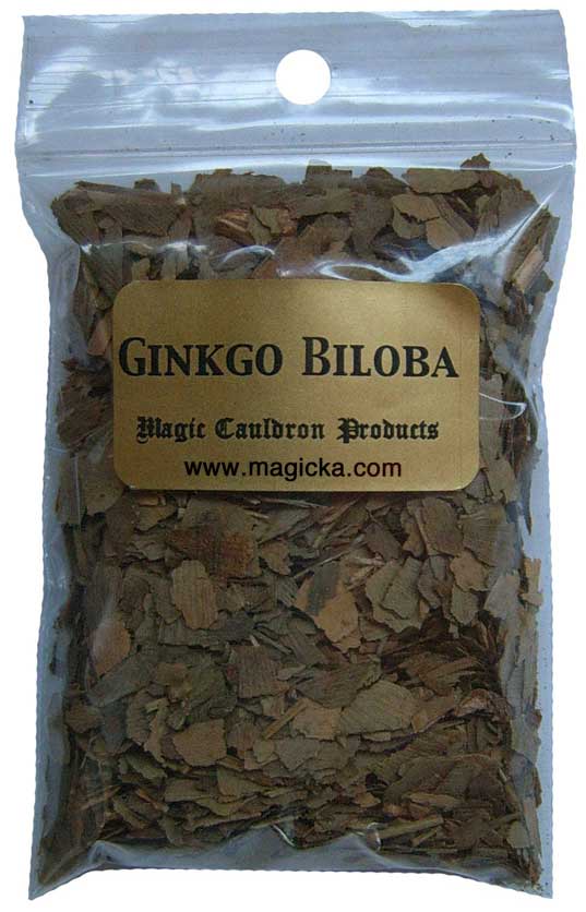 feuille de ginkgo biloba