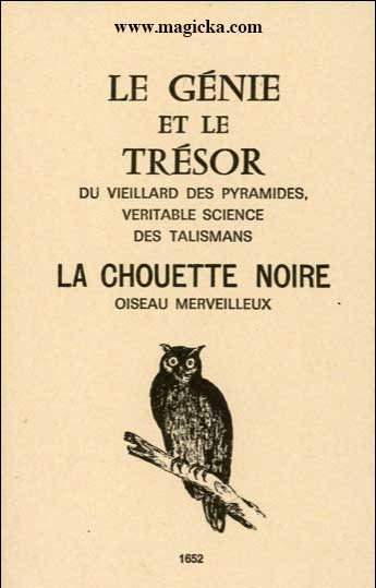 Génie et le Trésor - Chouette noire