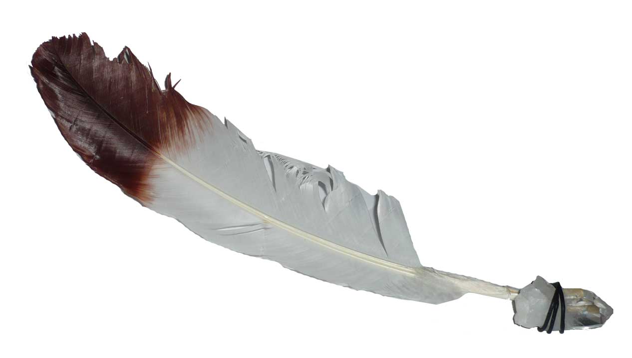plume du gu&eacute;risseur